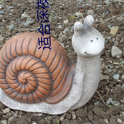 适合深夜熬夜看的直播