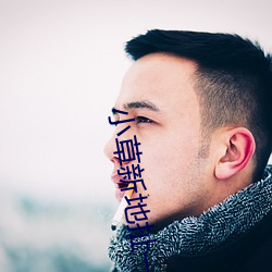 小草新(新)地扯一二(二)