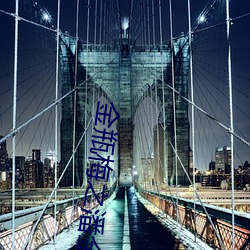 金瓶梅之潘金莲
