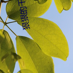 狠狠的幹性視頻